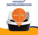 Rimmed Open Cat Litter Box — Wave with High Sides