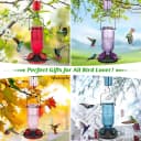 Glass Hummingbird Feeder for Outdoors Hanging