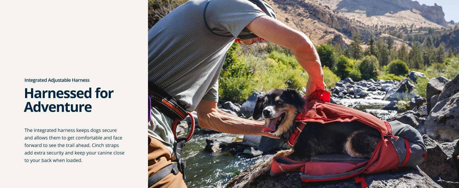Hitch Hiker Dog Backpack Carrier — product details