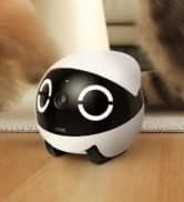 ROLA Mini Pet Camera Robot: 2K FamilyBot Mobile Home Companion — collection imagery