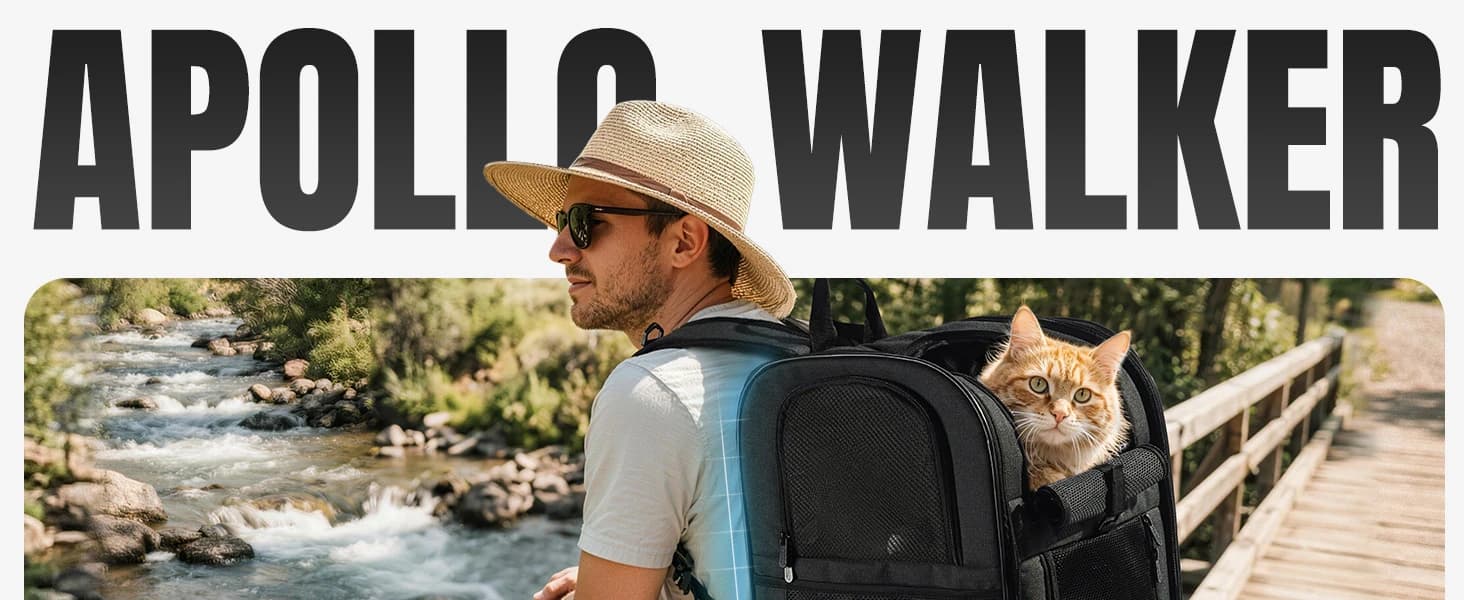 Cat Backpack Carrier — Support Frame — product details