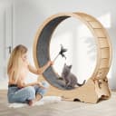 Cat Wheel — 46" XL Large Exercise Running Wheels with Detachable Carpet for Indoor Cats