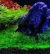 Battery Powered Aquarium Air Pump — collection imagery