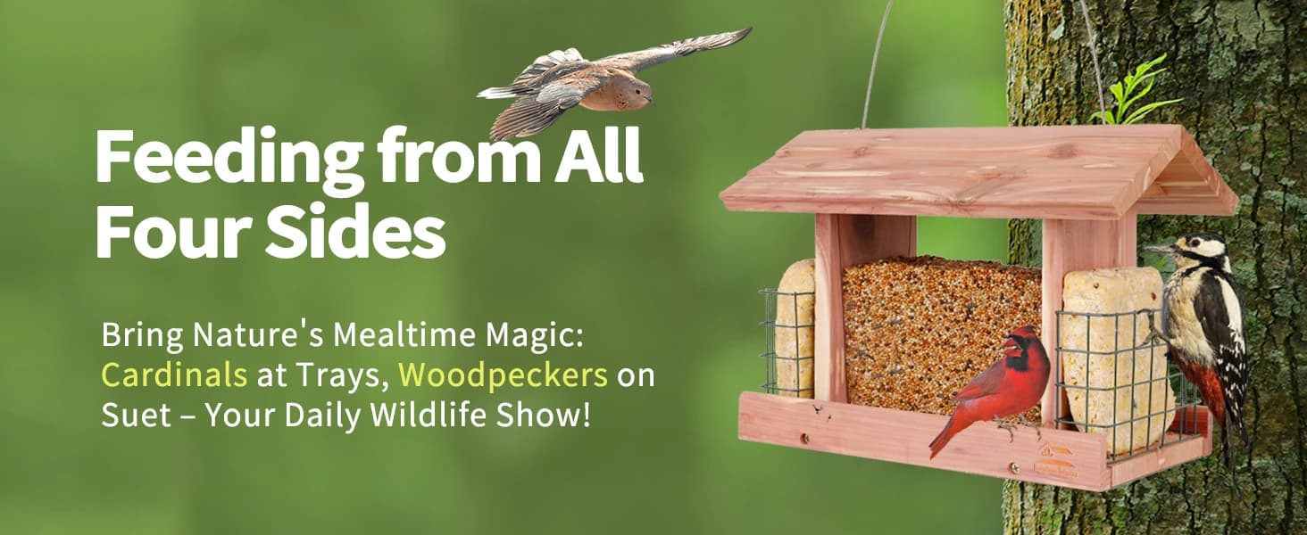Squirrel-Proof Cedar Hopper Bird Feeder — product details