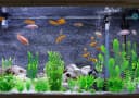 Aquarium Plants — 20 Pack Artificial Fish Tank Plants for Aquarium Decorations (Green)