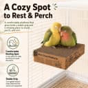 Parrot Chew Toy — Shreddable Cardboard Bird Platform