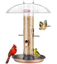 Metal Bird Feeders for Outdoors Hanging — collection imagery