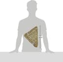 Bearded Dragon Seagrass Hammock