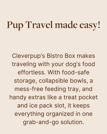Snackpack Double Insulated Dog Treat Pouch – 1.5 Cup Capacity — collection imagery