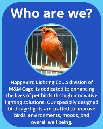 Sunrise and Sunset Timer for Bird Lights — collection imagery