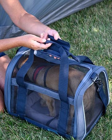 Outdoor Dog Bed — Cooling Elevated Pet Bed Portable Raised Dog Bed with Breathable Mesh — collection imagery