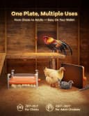 Smart Chicken Coop Heater — 200W Radiant Heat Panel with Temperature Sensor