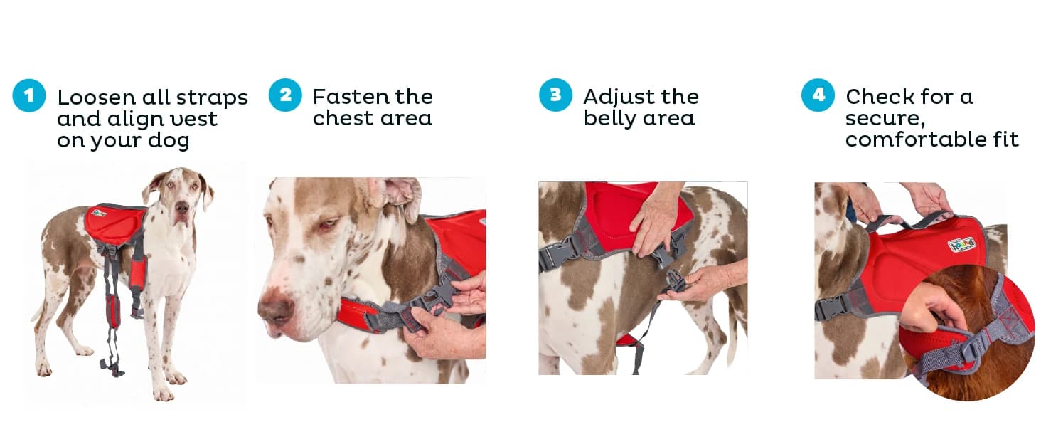 Dawson Swim Dog Life Jacket — Life Vest — collection imagery