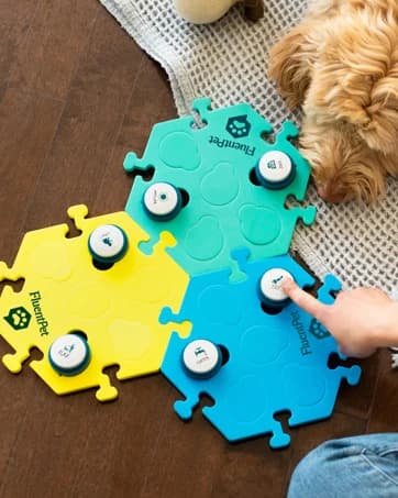 Speak Up Dog Buttons for Communication — collection imagery