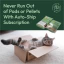 Breeze Cat Litter Box System Kit with Pellets and Pads
