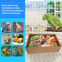 Bird Toys — Colorful Parrot Foraging and Tearing Toy Box