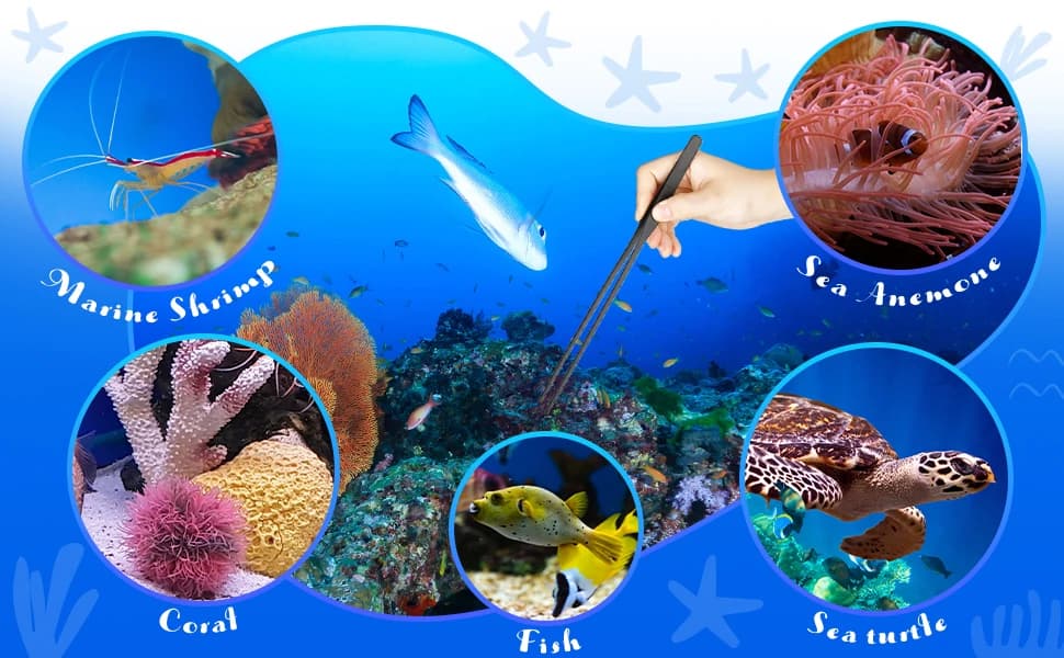 3 Pcs Axolotl Tank Accessories — product details