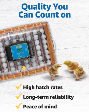 Ecoglow Safety 600 Chick or Duckling Brooder — collection imagery