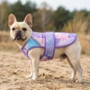 Dog Cooling Vest Evaporative Dog Cooler Jacket for Summer Outdoor