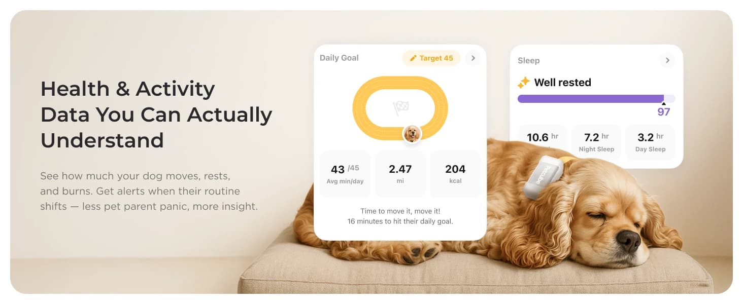 GPS Tracker for Dogs – Real-Time GPS Tracking and Escape Alerts — product details