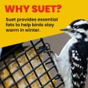 Double Suet Cake Feeder — Weather Guard