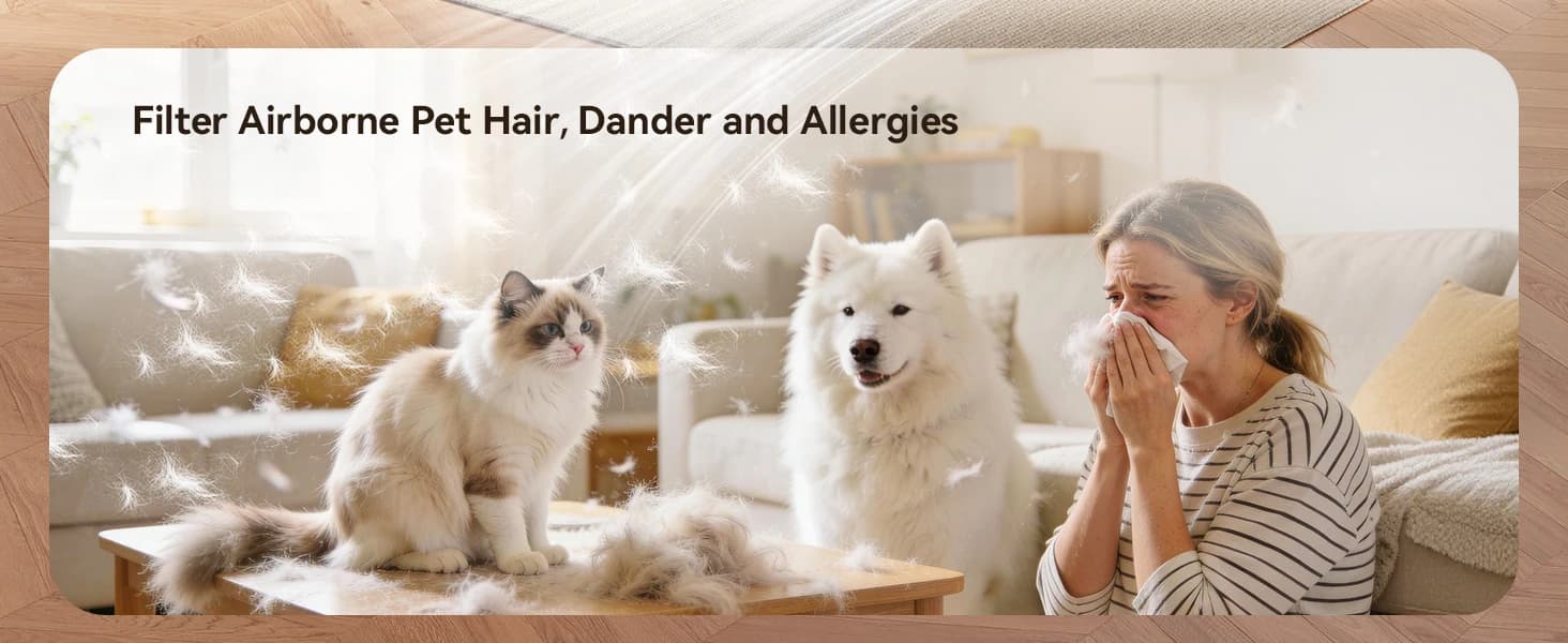 Pet Air Purifier for Home — Dual-sided Intake Air Purifier — product details