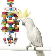 SB751 PVC Forager Bird Toy — Medium/Large Bird Size — collection imagery