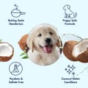 Puppy Grooming Wipes — Coconut Water