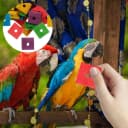 Bird Toys: 100 Pcs Wooden Blocks