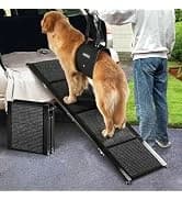 Large Dog House Outdoor — 36in Elevated 2-in-1 Cot and Canopy — collection imagery