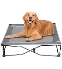 Outdoor Dog Bed — Cooling Elevated Pet Bed Portable Raised Dog Bed with Breathable Mesh — collection imagery