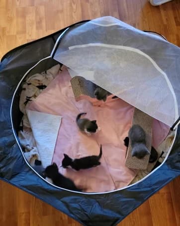 Small Animal Playpen — Waterproof Foldable Pet Playpen — collection imagery