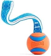 Paraflight Flying Disc Dog Toy — collection imagery
