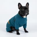 2 Pack Lightweight Fleece Dog Pajamas