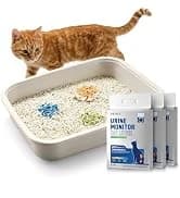 Upgraded Multi-Cat Recognition Automatic Cat Feeder with Camera — collection imagery