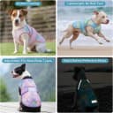 Dog Cooling Vest Evaporative Dog Cooler Jacket for Summer Outdoor
