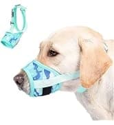 Dog Backpack for Small Dogs to Wear — collection imagery
