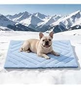 2 Packs Car Door Protector for Dogs — collection imagery