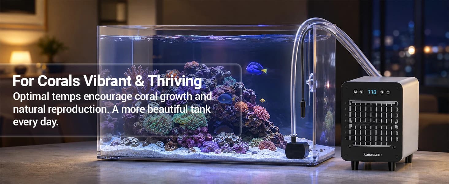 Mini Aquarium Chiller Semiconductor Cooler and Heater — product details