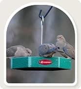 Metal Bird Feeders for Outdoors Hanging — collection imagery