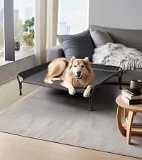 Outdoor Dog Bed with Canopy — Cooling Elevated Dog Shade for Outside — collection imagery