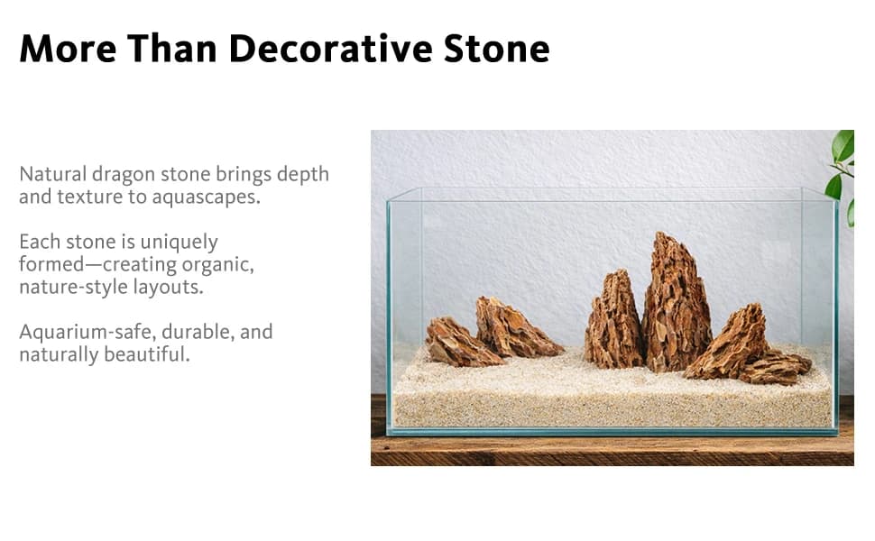 6.1-8.1 Inches Natural Dragon Stone — product details