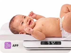 Wiggle-Proof Digital Pet Scale for Cats — collection imagery
