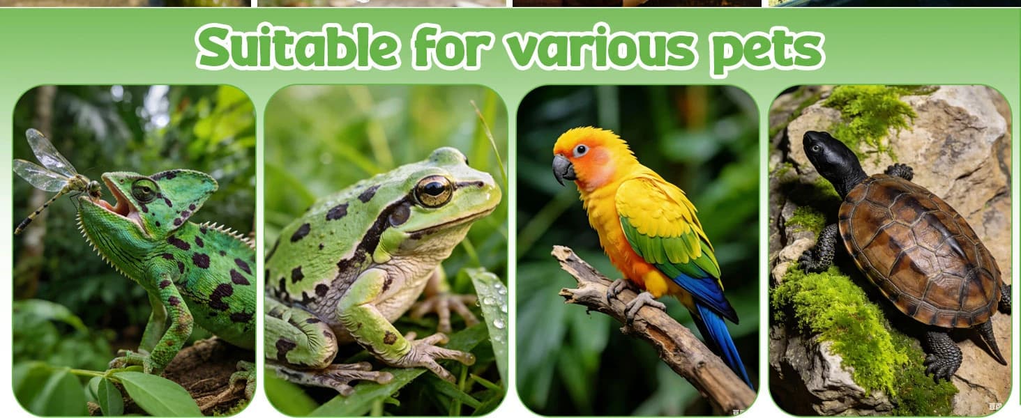 Snake Feeding Tongs,15 Inch Reptile Feeding Tongs — product details