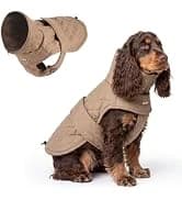 Dog Cooling Vest - Evaporative Summer Cooling — collection imagery