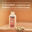 Clean Day 3 in 1 Dog Shampoo