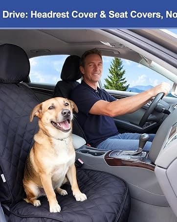 Dog Car Door Protector 2-Pack — collection imagery