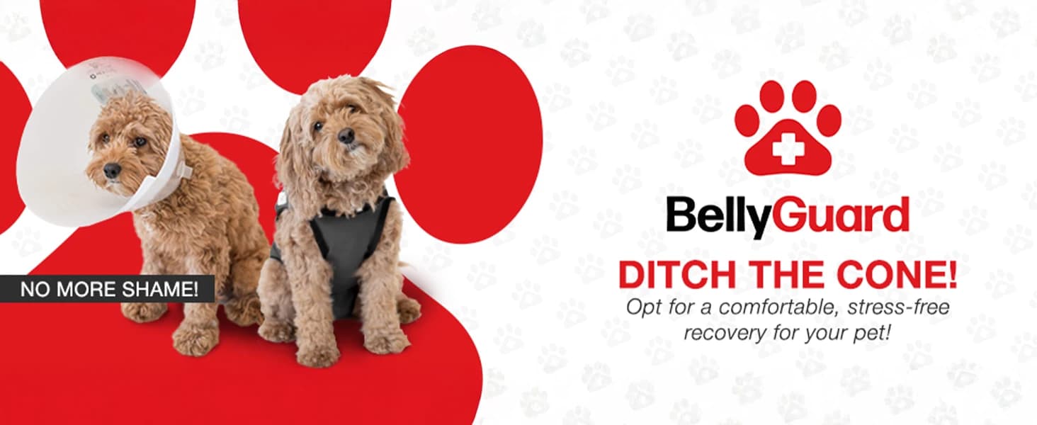Dog Surgery Recovery Suit — Male Female After Spay Neuter Onesie — product details