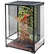 24" x 18" x 36" Reptile Tall Glass Terrarium Rainforest Habitat Double Hinge Door with Screen Ventilation 67 — collection imagery