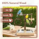 Bird Playground — Natural Wooden Parrot Play Stand